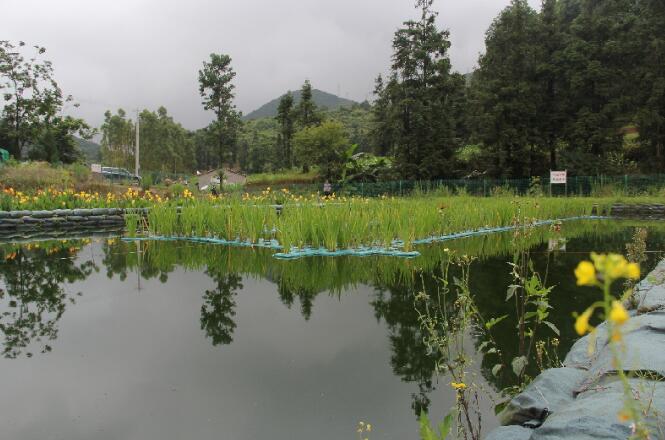 抓住這2點，快速提升農村污水處理能力(圖2)